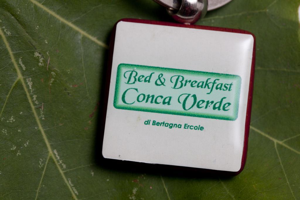 Bed & Breakfast Conca Verde Cavriana Kültér fotó